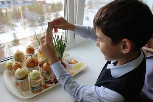 Самые полезные идеи и ценные советы для дома. Хитрости для экономии