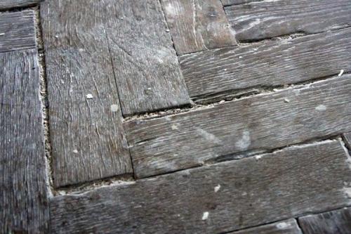 Как правильно полировать паркет в компании 03