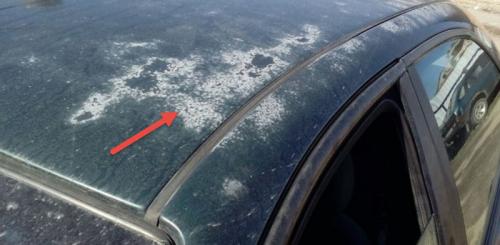 Как избежать появления трещин и отслоений после покраски. Что делать если появились трещины на лакокрасочном покрытии автомобиля