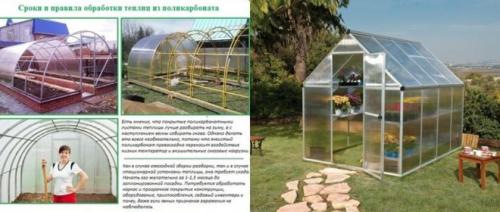 Как помыть теплицу осенью. Осенняя дезинфекция теплицы из поликарбоната изнутри