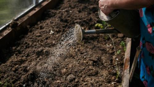 Обработка теплицы весной без замены почвы. Чем обработать землю в теплице весной 01