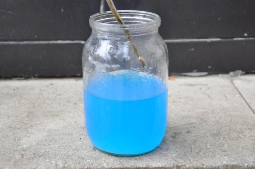 Обработка земли в теплице кипятком. Дезинфекция теплицы