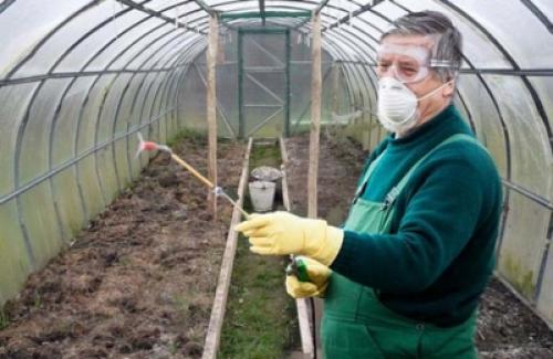 Чем обработать теплицу весной от фитофторы. Когда и чем лучше обработать теплицу от фитофторы? Инструкция проведения процедуры и профилактика