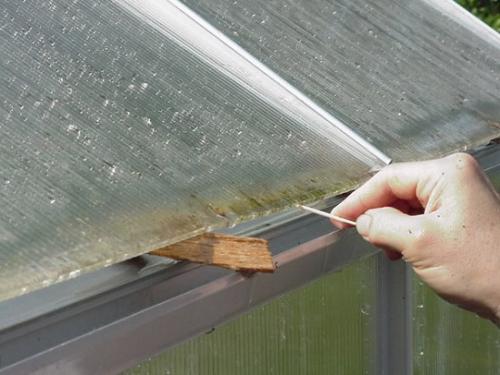 Обработка теплицы весной от болезней и вредителей. Чем продезинфицировать теплицу из поликарбоната 02